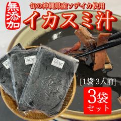 【沖縄伝統料理】イカスミ汁　大700g×3袋