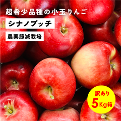 「シナノプッチ5キロ箱訳あり品」農林水産大臣賞 りんご 長野県産 安曇野 信州産 産地直送 送料無料 5キロ 箱使用 果物 フルーツ 鮮度抜群 産地直送 超希少品種