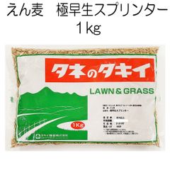 えん麦種子　極早生スプリンター（ペット用・農薬未処理）1kg【種】タキイ種苗　牧草の種　猫草　ウサギ
