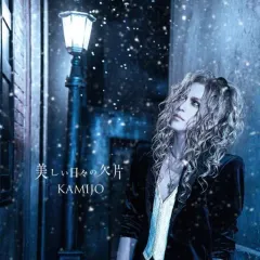 KAMIJO LOUIS XVI ライブDVD 未開封 KAMIJO LOUIS XVI ライブDVD 未開封 DVD