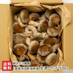 【家庭用】新潟県産 生しいたけ 500g