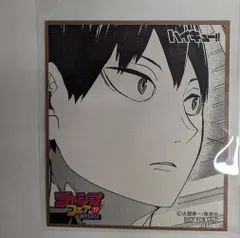 アニメイト ジャンプフェア2017 ミニ色紙風コレクション ハイキュー!! 影山飛雄