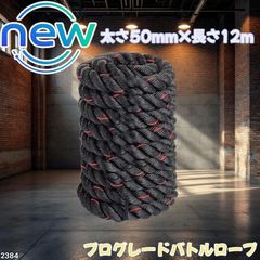 2384 バトルロープ 50mm × 12m トレーニングロープ 16kg