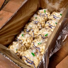贈答用】とっくり芋 短形自然薯 抜きたて 5kg程度 とろろ ねばり