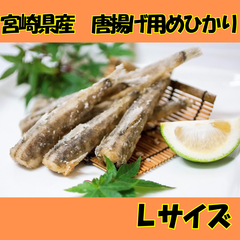 産地直送　宮崎県産　骨ごと食べれる  めひかり 唐揚げ　Lサイズ　添加物不使用　ワンフローズン　国産　唐揚げ　からあげ　メヒカリ　目光　頭無し　不揃い　訳あり　時短調理　簡単調理　居酒屋　延岡市