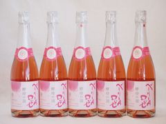 白銀酒 桜の花びらデザイン 日本酒 - メルカリ