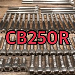 ステンレス製 CB250R 前期 MC52 左右エンジンカバーボルト 合計30本