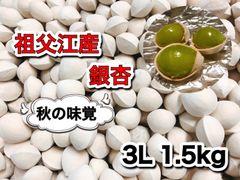 愛知県祖父江産　銀杏　3L 1.5kg