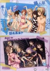 [중고] 클리어 파일 집합 (수영복 / 유카타) A4 클리어 파일 [나는 친구가 적다]