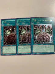 洗脳ブレインコントロール　旧レリ3枚セット