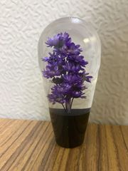水中花　紫　シフトノブ　昭和レトロ　MT