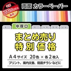 【特別価格】色画用紙 まとめ売り A4 中厚口タイプ（0.09㎜／20色×各2枚）全40枚／印刷対応カラーペーパー／パンフレット・プログラム・ラベル・掲示物・プリントに