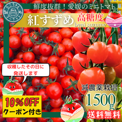 高糖度★収穫後すぐ発送！　高糖度紅すずめ　1500g　ミニトマト　こだわり農家の希少な逸品