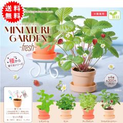 【新品未開封】ミニチュアガーデン フレッシュ 全4種コンプリート(レモンバーム、ミント、アップルミント、ワイルドストロベリー)  カプセル入り ガチャガチャ がちゃがちゃ カプセルトイ エール ガチャ ガチャ コンプリート GB300012-2504