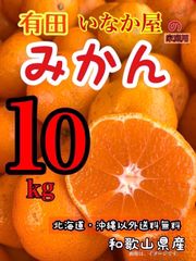 ショップ開設　箱込み10kg  人気商品、お買い得品！最安値！セール品　和歌山県産　有田　みかん　家庭用　10kg  特価価格