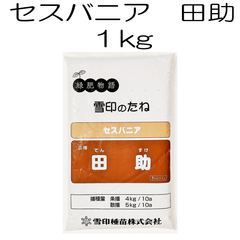 セスバニア 品種名：田助 1kg 雪印種苗