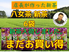 新茶入荷しました!!!全国 送料無料 健康  一番茶 日本茶 煎茶  緑茶 新茶 母の日 上級煎茶 八女茶 100g✕6袋セット　八十八夜