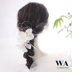 髪飾り 髪飾りセット 成人式 振袖 結婚式 ブライダル ヘッドドレス 卒業式 七五三 前撮り 白 ホワイト シルバー 胡蝶蘭 水引  K-148