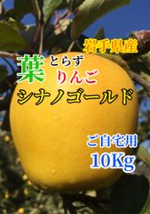 【家庭用】葉とらずりんご シナノゴールド10kg