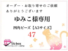 好評継続中!今だけ限定価格! Haru☆彡.。様専用 ダイアモンドアート