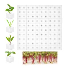 Item thumbnail for item fffdb1a8-449b-4be2-b4f5-50f4013f46fe