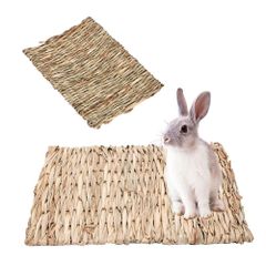 Item thumbnail for item 0d26598d-80e3-4623-ba58-76d45dca674a