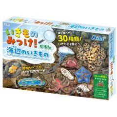 （まとめ買い）アーテック いきものみっけ!かるた うみべのいきもの 21657 【×5セット】 [おもちゃ・知育玩具]のサムネイル