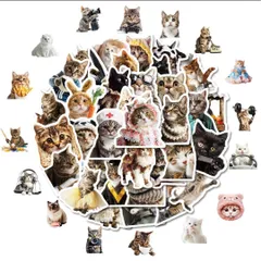 ステッカーシールネコ可愛いまとめ売りリアル写真ドレスペット雑貨デコレーション子猫