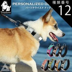 Item thumbnail for item b1b1af72-9145-45f5-864c-0a8f79176c46