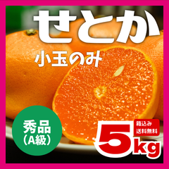 【秀品（A級）】【訳あり小玉みかん】長崎県産せとか 産地直送 箱込約5kg 送料無料