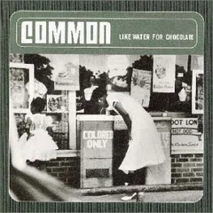 新品COMMON LIKE WATER FOR CHOCOLATE2枚組レコード 新品COMMON LIKE WATER FOR CHOCOLATE2枚組レコード Common Like