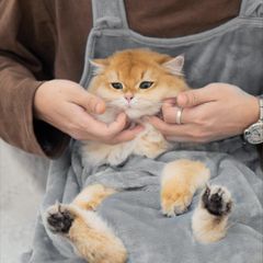 Item thumbnail for item 2de1e22e-ea90-4424-8403-b7e7f331fa97