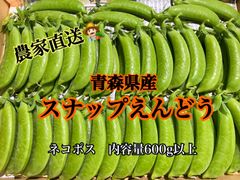 【青森県産】スナップエンドウ⭐️新鮮⭐️のサムネイル