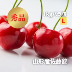 クール便着払い】山形県産さくらんぼ 佐藤錦 贈答用 Lサイズ 秀品 1