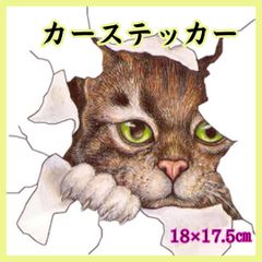 「３D 穴から覗く猫ちゃん」カーステッカー　可愛い　防水耐水　バイク　シール