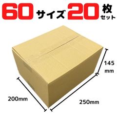 ダンボール 段ボール 60サイズ 20枚セット 外寸250×200×145mm