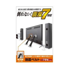 エレコム TV用耐震ベルト／～75V用／強力粘着シールタイプ／2本入 TS-002N2
