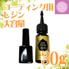 【国産】コーティング用レジン 30g【大容量】【レジン仕上げ剤】