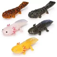 【中古】トレーディングフィギュア 全5種セット 「いきもの大図鑑レプティ オオサンショウウオとメキシコサラマンダー」