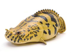 動物の惑星】魚類