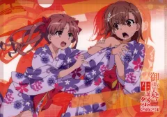 【11/25値下げ】【超激レア商品】御坂美琴生誕祭2024 スーツケース 11/25値下げ】【超激レア商品】御坂美琴生誕祭2024 スーツケース