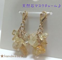 きよちゃん様☆専用ページ - ≪ chii☆handmade ≫ - メルカリ