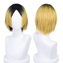 新品 猫の城 ハイキュー!! 孤爪研磨 コスプレウィッグ 耐熱 かつら アニメ 仮装 コスチューム小物 パーティー イベント 仮装 コスチュム ウィッグネット付き