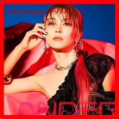 신품 미개봉 LANDER (통상판) CD LiSA 리사 귀멸의 칼날 극장판 소드 아트·온라인 [안심·익명 배송] 메르카리 Shops:굿 밸류가 출품