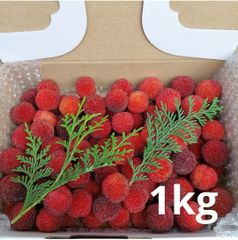 高知県産 冷凍 やまもも 1kg - メルカリ