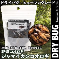★ドライバグ 乾燥コオロギ【ジャマイカンコオロギ】両生類 爬虫類 小動物 餌