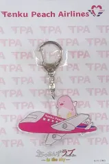 2025年最新】天空ピーチエアラインの人気アイテム - メルカリ