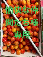 さくらんぼ（ナポレオン）