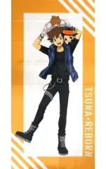 【中古】雑貨 [単品] 沢田綱吉＆リボーン ほぼ等身大マルチクロス 「ひこくじ 家庭教師ヒットマンREBORN!-FIGHT IT OUT-」 コンプリートセット セット購入特典