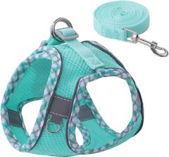 Item thumbnail for item 058592b5-76d7-4800-b856-82d7f8fba8e0